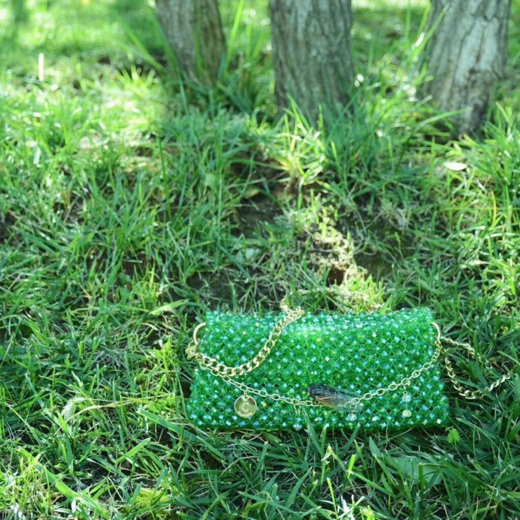 baguettebag apple