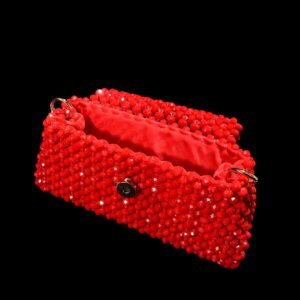 Crystal Beaded Hobo Bag with Red Velvet Lining